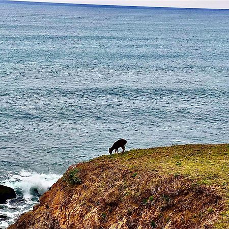 Inn Of The Lost Coast Shelter Cove Dış mekan fotoğraf